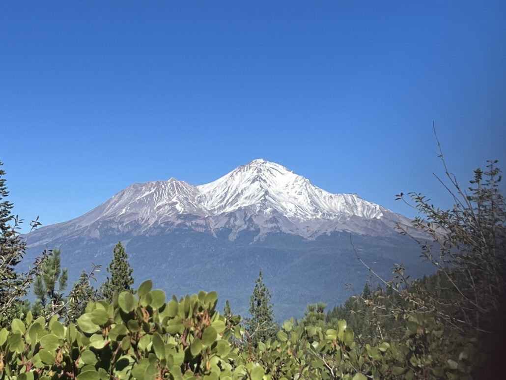 Shasta2